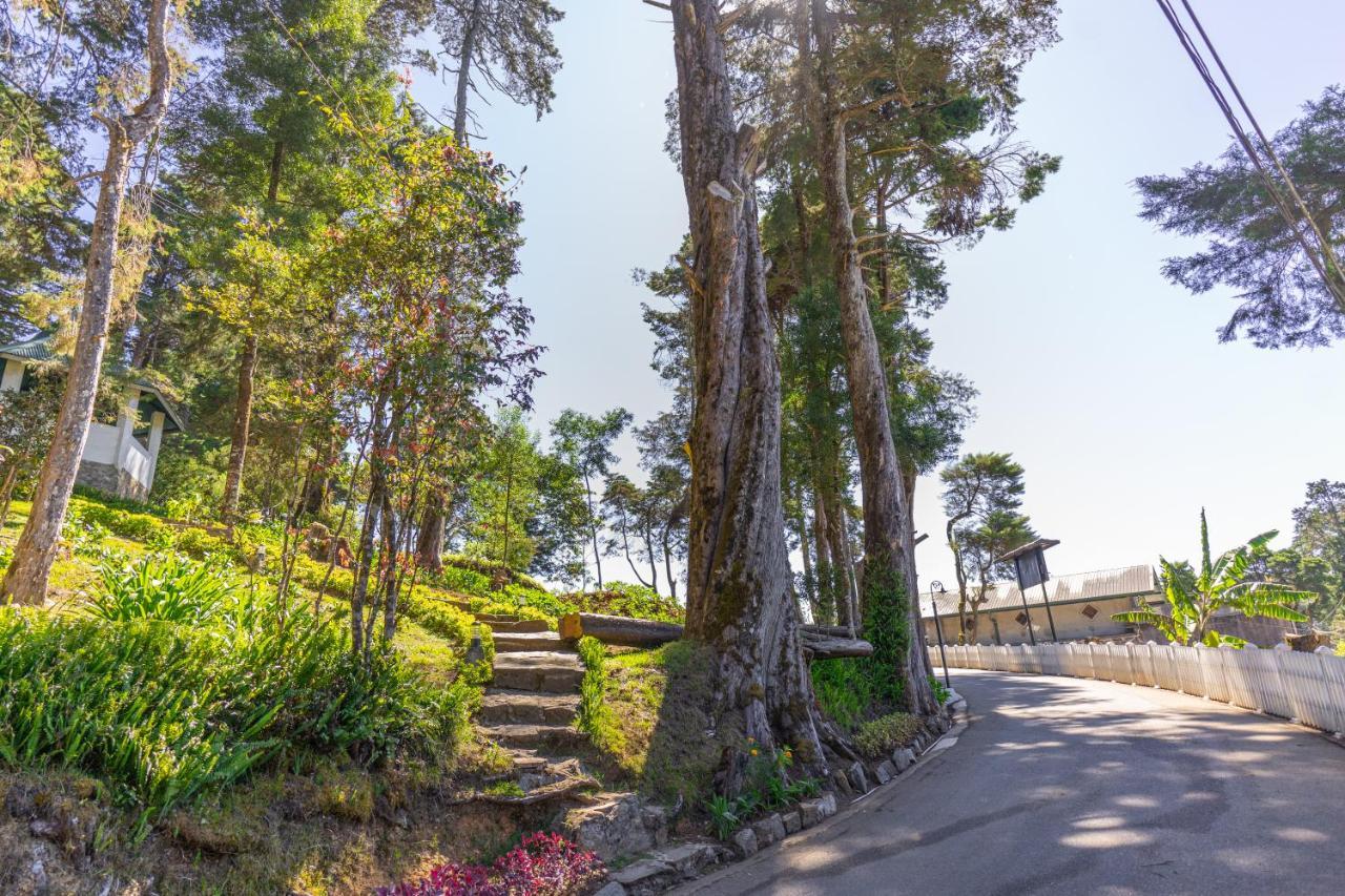 Mirage Kings Cottage Nuwara Eliya Bagian luar foto