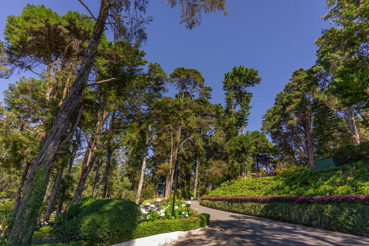 Mirage Kings Cottage Nuwara Eliya Bagian luar foto
