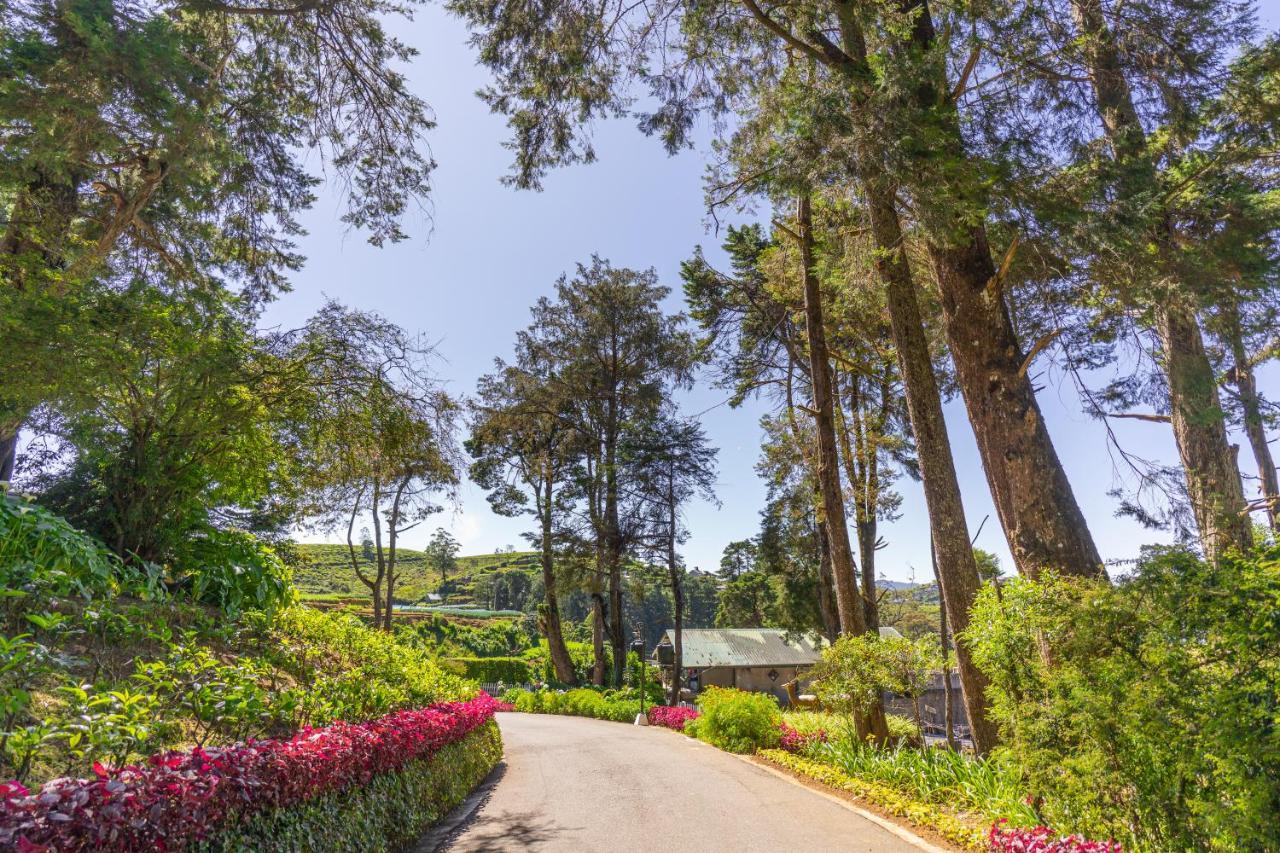 Mirage Kings Cottage Nuwara Eliya Bagian luar foto