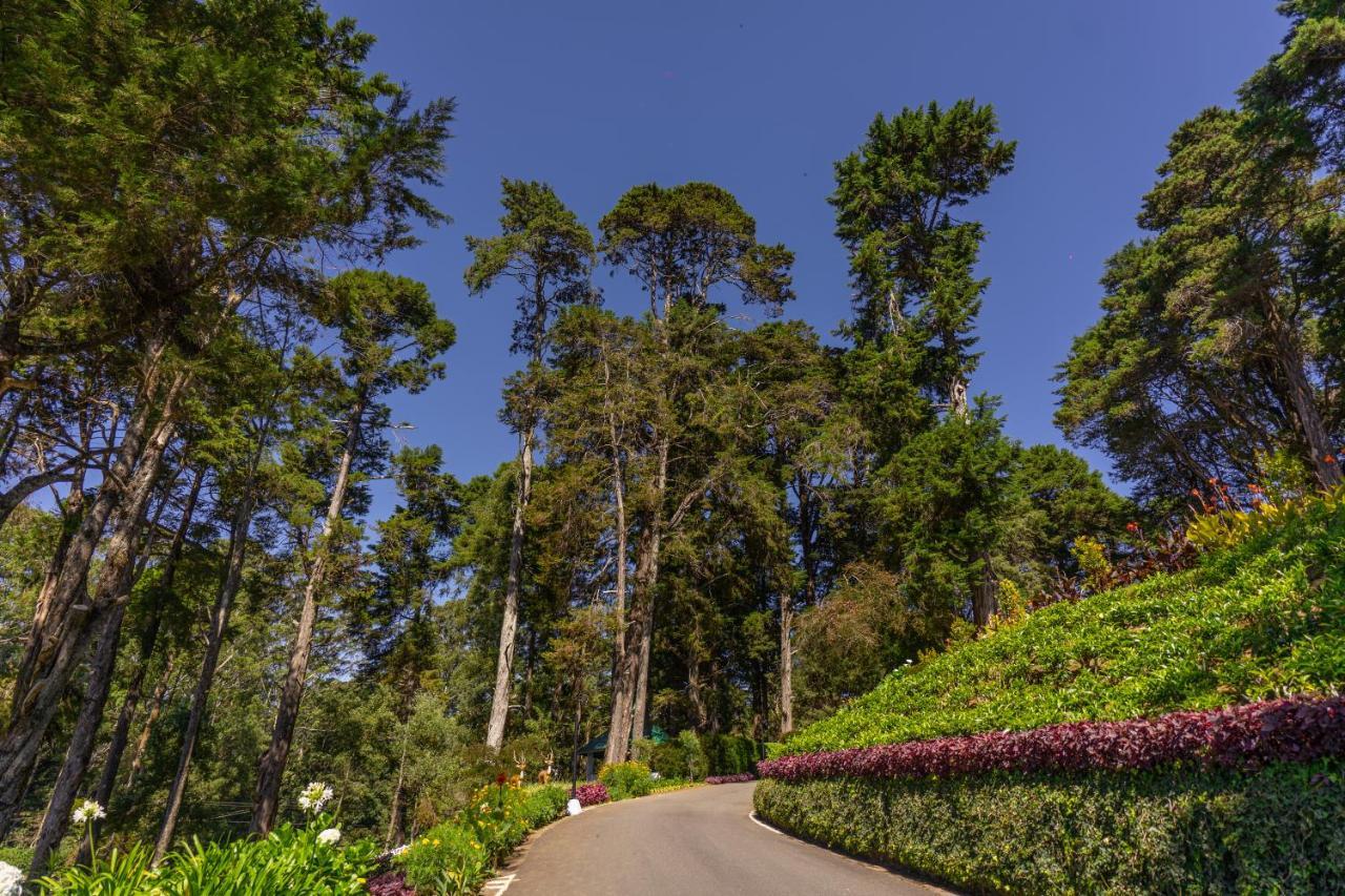 Mirage Kings Cottage Nuwara Eliya Bagian luar foto