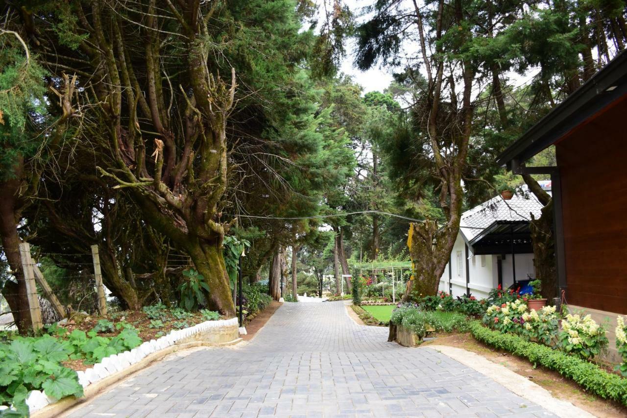 Mirage Kings Cottage Nuwara Eliya Bagian luar foto